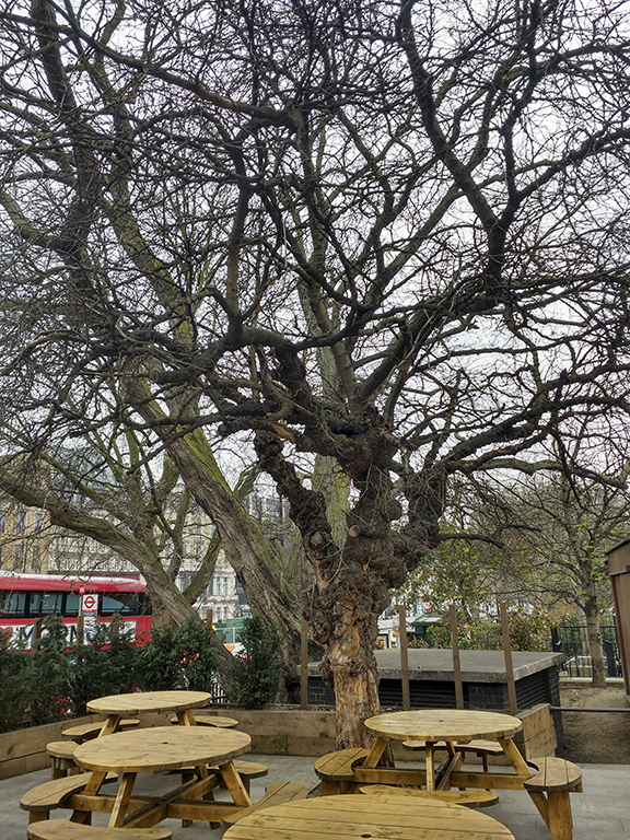 Photo of Hyde Park Corner Cafe