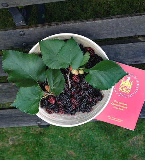 Mulberries from the Queen’s mulberry tree presented to the Lord Mayor in July 2014