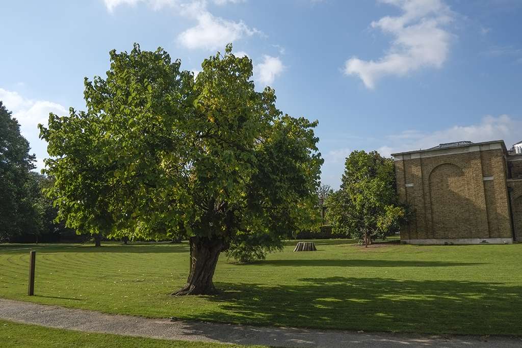 Photo of Dulwich Picture Gallery
