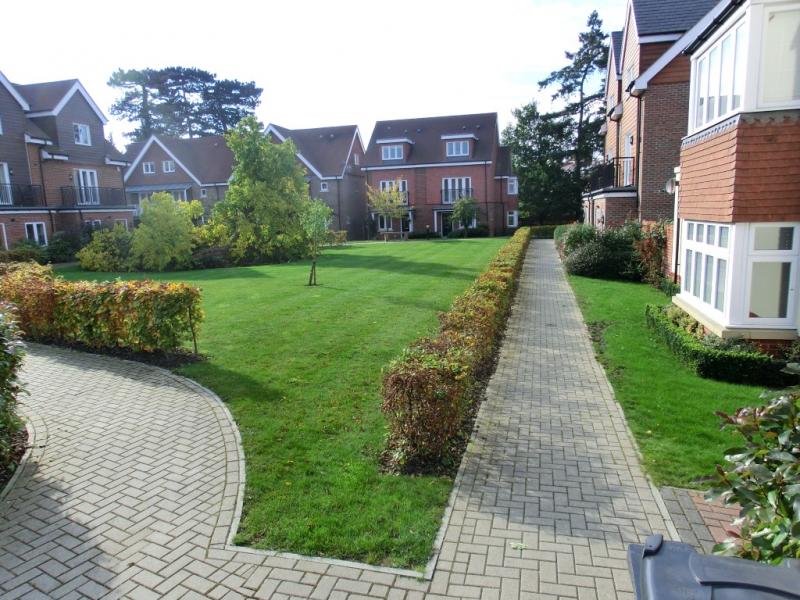 Mulberry Way Morus Londinium