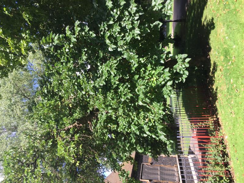 Photo of St Dunstan and All Saints