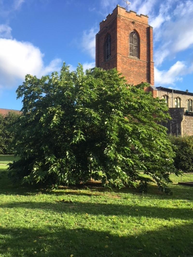 Photo of Norwich-St-Augustines