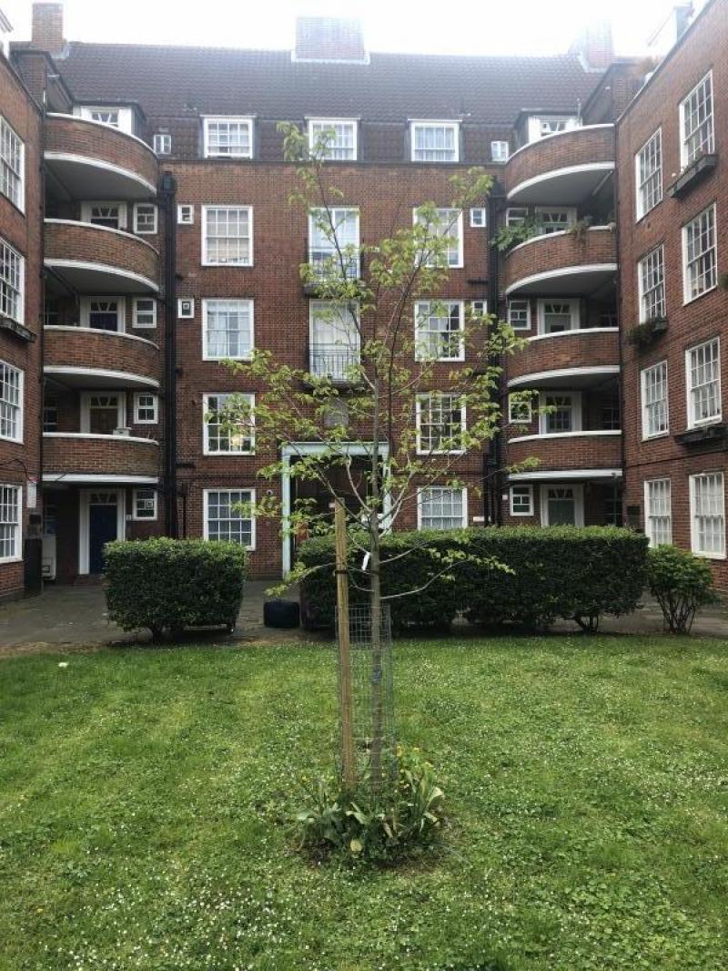 Victoria Park gardens Morus Londinium