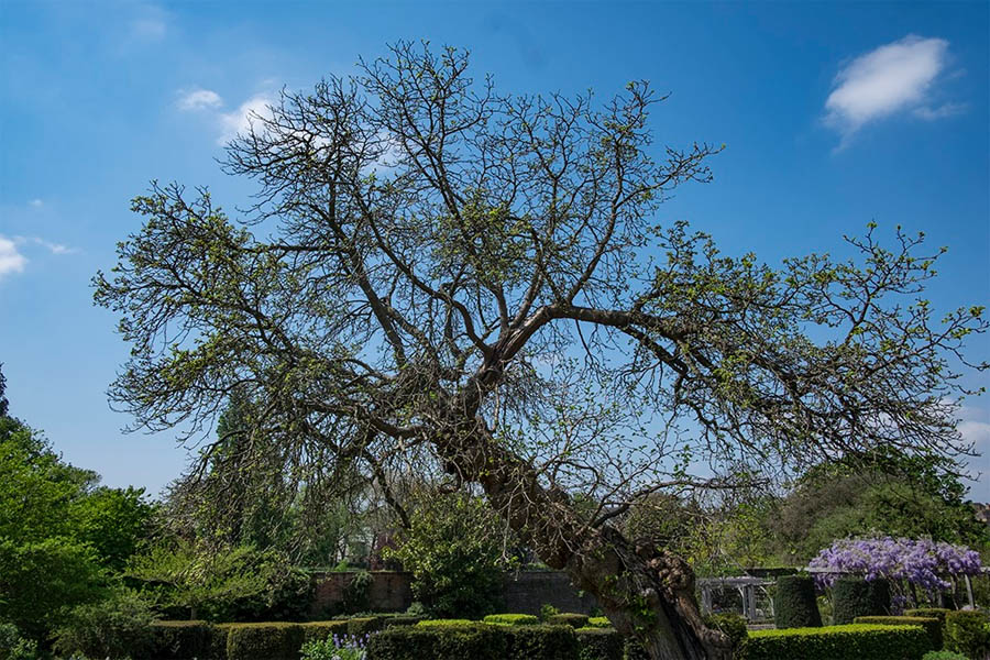Photo of Brockwell Park