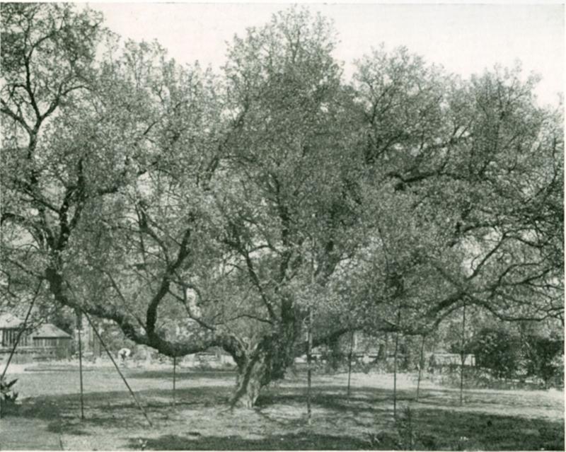 Photo of Mildmay Conference Hall