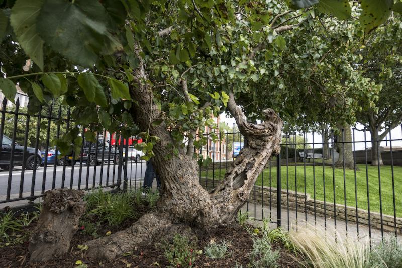 Photo of Battersea Bridge Gardens