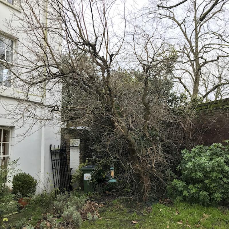 Photo of Crooms Hill Greenwich