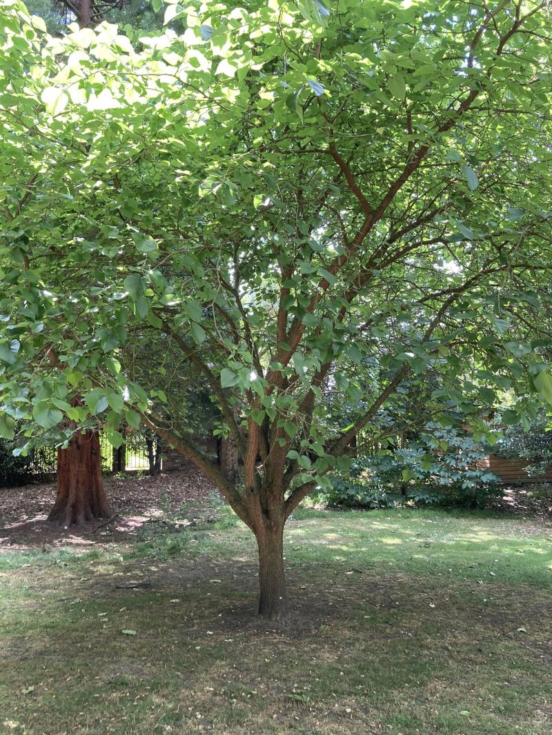 Photo of Dulwich Picture Gallery 2