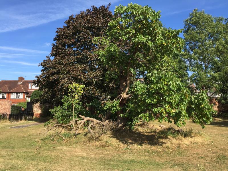Photo of Church Lane Playing Fields