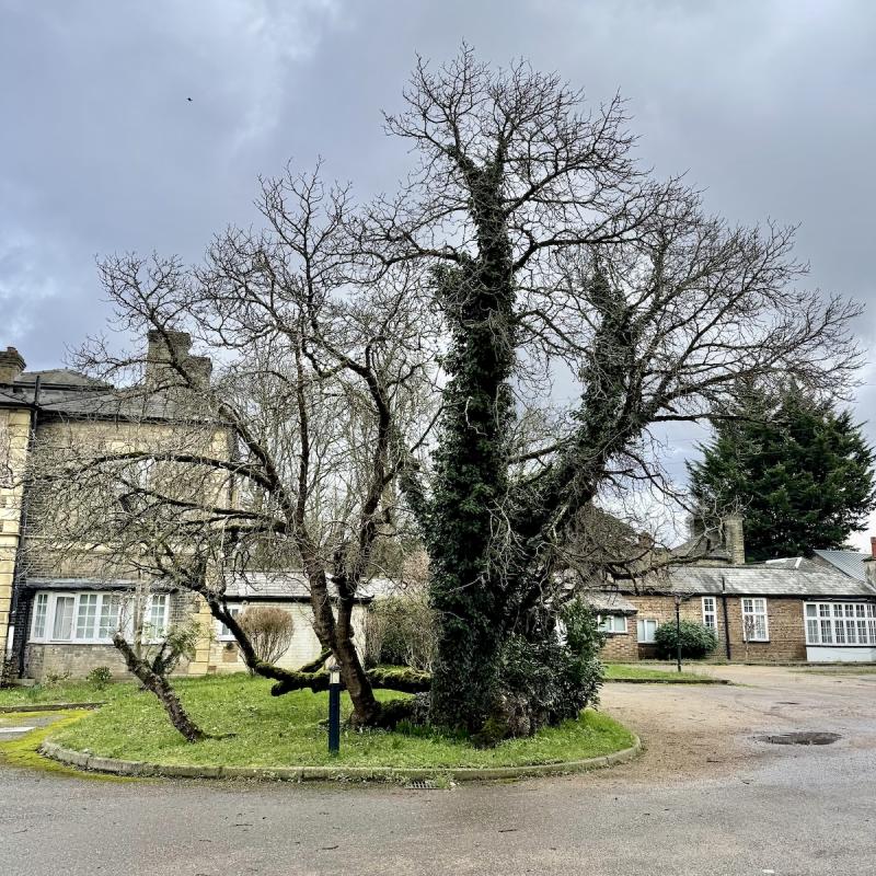 Photo of Oatlands Park Hotel