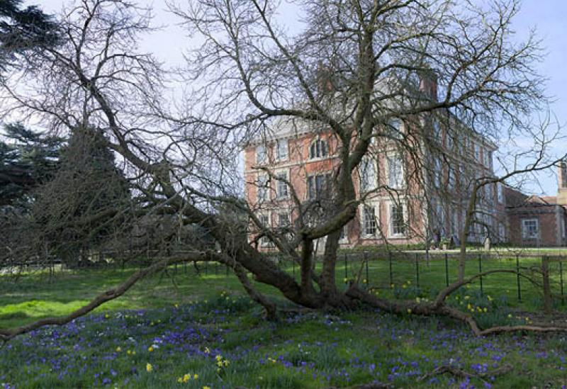 Photo of Forty Hall