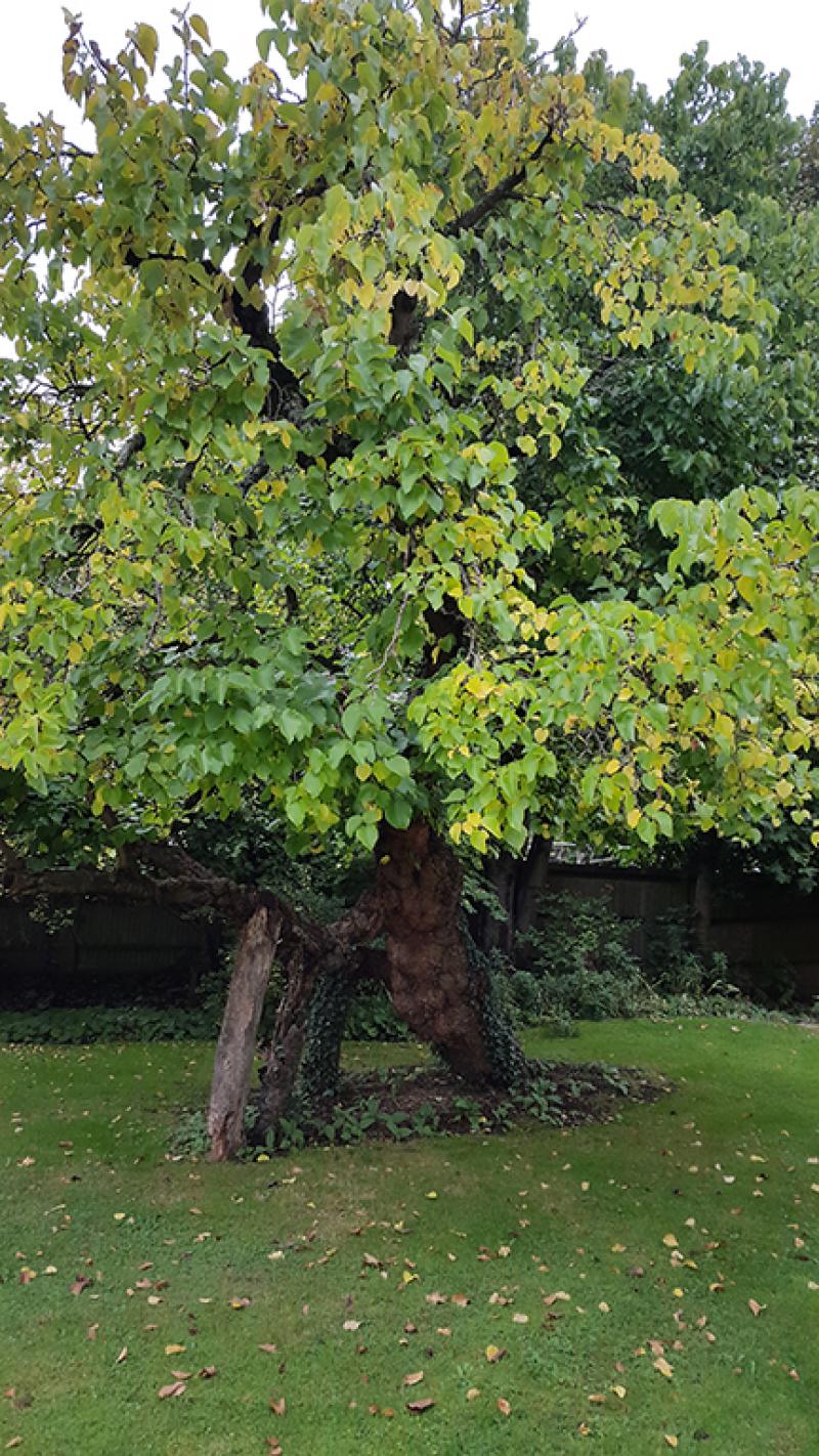 Photo of St. Barnabas Close, Beckenham,