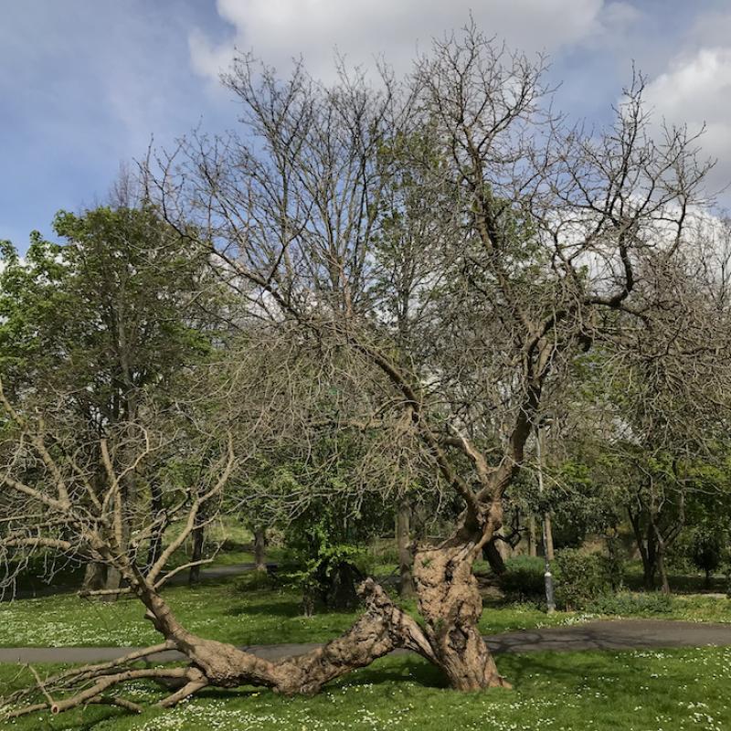 Photo of Loughborough Park