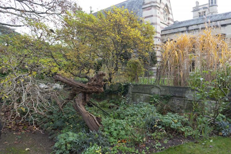 Photo of Oxford Balliol Garden Quad 1609