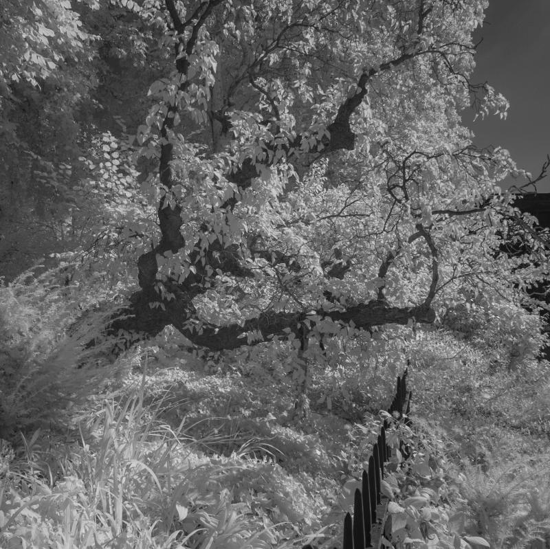 Photo of Tower of London