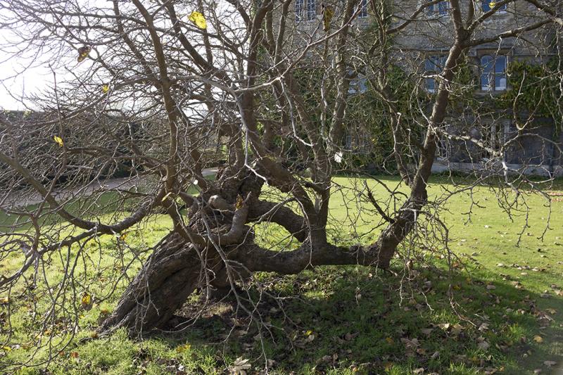 Photo of Merton College Oxford